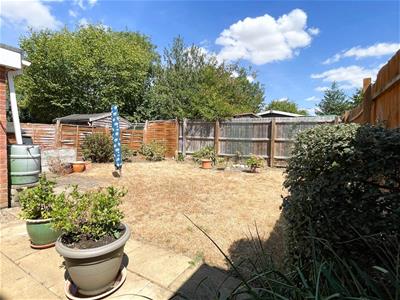 Picture 13